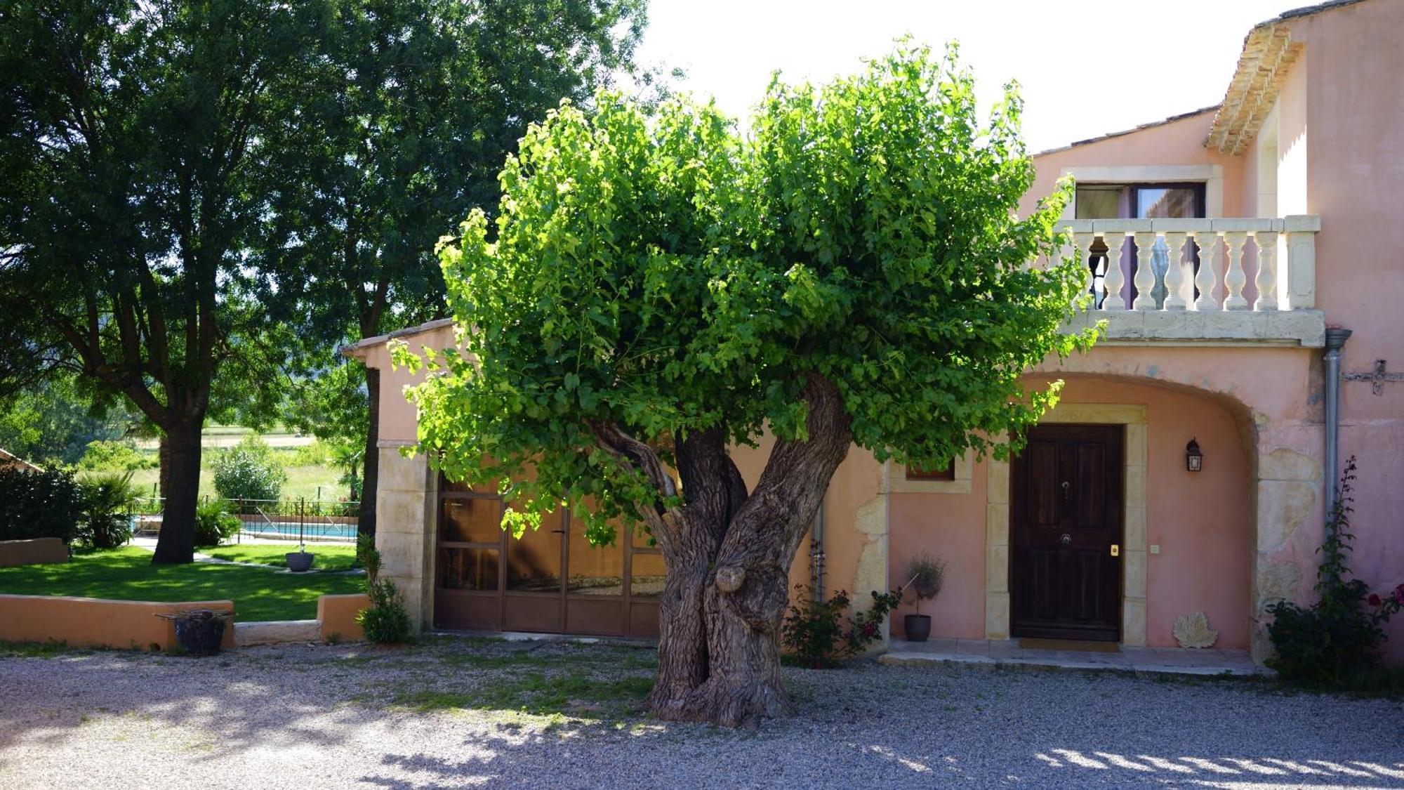 Chambres D'Hotes, B&B La Musardiere Alba-la-Romaine Exterior foto